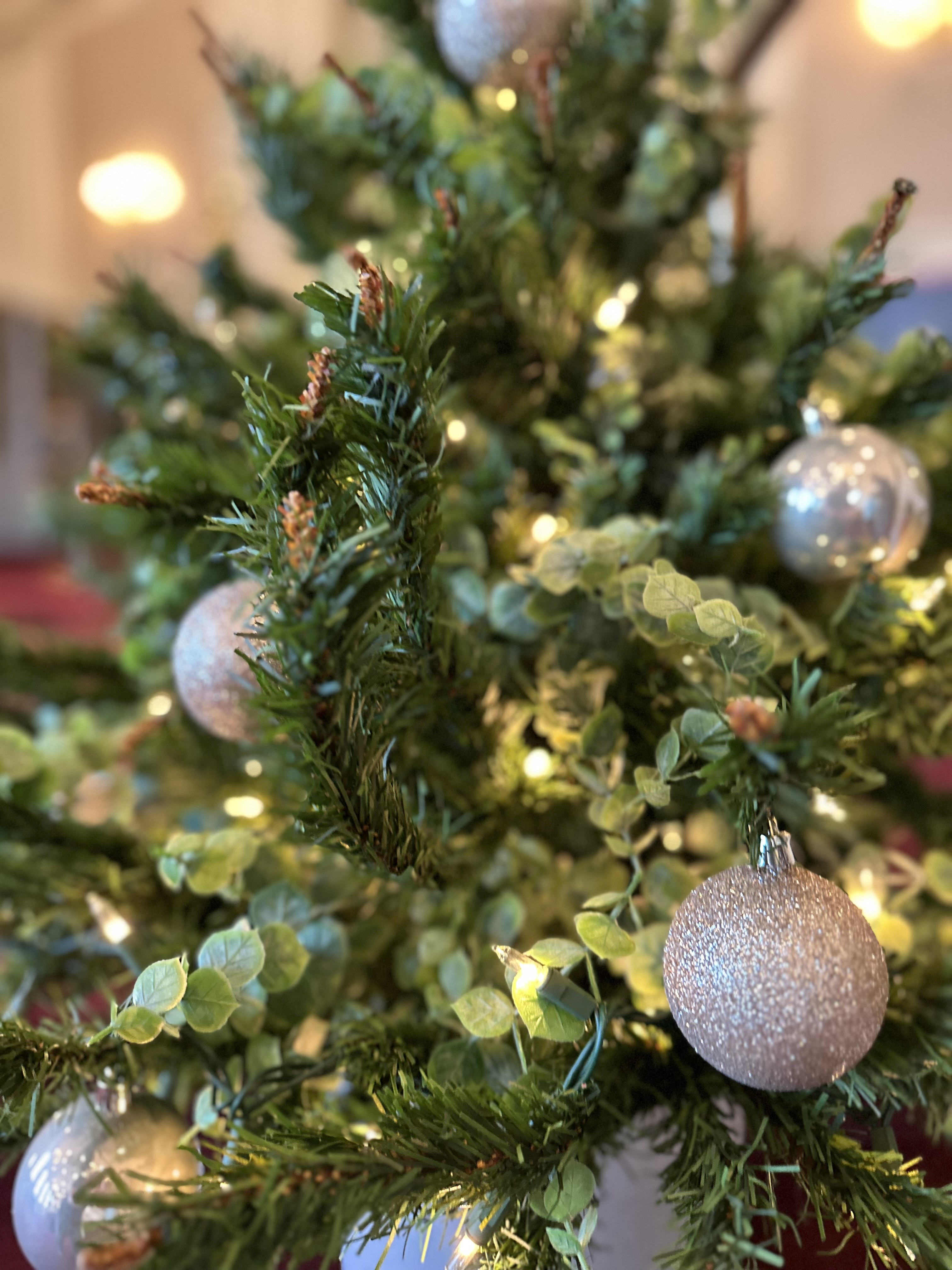 Christmas Eve Service in Downers Grove